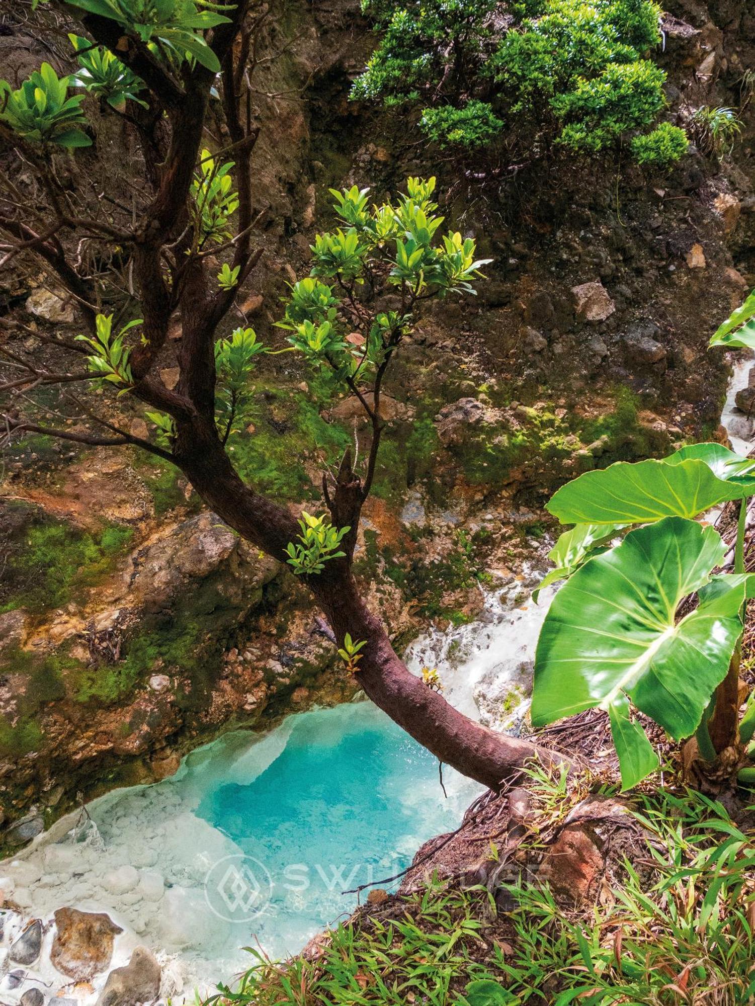 Swilodge Vue Sur Mer ! Petit Dejeuner Et Location De Voiture Possible เลอ มูเล่ ภายนอก รูปภาพ